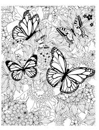 These easy printable butterfly coloring pages not only help develop. Butterfly Coloring Pages And Other Free Printable Coloring Page Themes