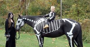 I Would Ride Him Into Town At Night With Glow In The Dark Paint Him And Myself Horses Horse Costumes Horse Halloween Costumes