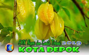 Smk farmasi harapan massa depok jl komp. Daftar Peringkat Smk Terbaik Kota Depok Th 2019 K Blog