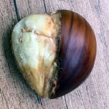 Esskastanien Maronen Ratgeber Tipps Fur Zubereitung Ousuca