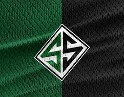 Sakaryaspor logo logo vector,sakaryaspor logo icon download as svg , psd , pdf ai ,vector free. Sakaryaspor Projects Photos Videos Logos Illustrations And Branding On Behance