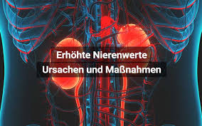 Nierenwerte Erhoht Ursachen Behandlung Praktischarzt