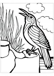 Our coloring pages are free and classified by theme, simply choose and print your drawing to color for hours!we have coloring pages for all ages, for all occasions and for all holidays. Birds Free Printable Coloring Pages For Kids