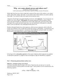 We breathe out carbon dioxide, which plants use in photosynthesis. Why Are Some Plants Green And Others Not University Of