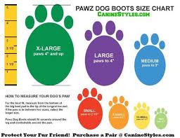 Dog Booties Guide Dog Boot Size Chart Canine Styles