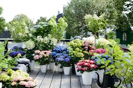 Moin, ich biete in bremen und umzu um kreis vom 50 km zuverlässig und kompetente garten hilfe. Impressum Fleur Garten