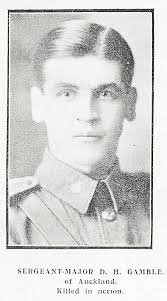 WW1 Douglas Hepburn Gamble 13/2191