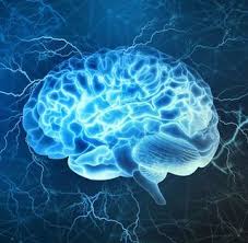 The tests consist of a set of verbal, auditory. Iq By Country