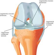 Premium Medica Ginocchio Lesioni Lca