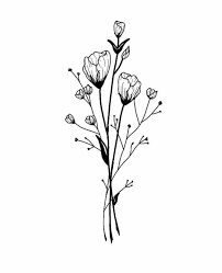 Pin On Drawing