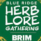 Blue Ridge Herb Lore Gathering