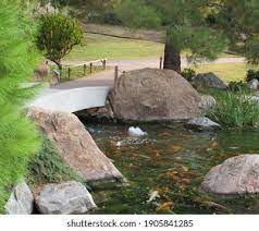 Japanese Friendship Garden Images Stock Photos Vectors Shutterstock
