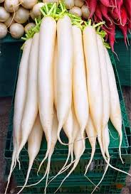 Imp Scientific Names Of Vegetables With Pictures English Hindi Names Vegetables Name Of Vegetables Health Benefits Of Radishes