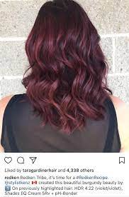 Pin By Alexia Jasmine On Colorful Hair Redken Hair Products Violet Hair Colors Redken Hair Color