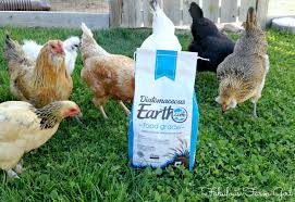 Second, your colon can operate much more efficiently, which means that future toxins you ingest can be better removed. We Love Diatomaceous Earth And You Should Too Fabulous Farm Girl