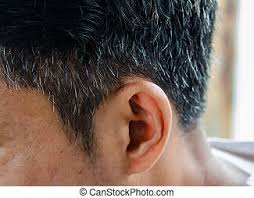 Though, ageing is the primary reason of grey hair but premature greying of hair in early 20's or 30's is now common. Grey Hair Man White Hair Loses Hair In A Young Man Canstock