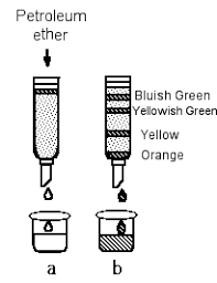 Lesson 1 Introduction To Hplc Shodexhplc Com