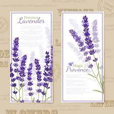 Download Lavender Flower Vertical Banners For Free Lavender Flowers Chinese New Year Flower Lavender
