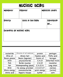 Organic Macromolecule Sorting Activity Biology Classroom