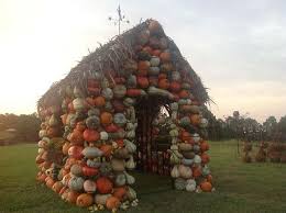 Pumpkin House From P Allen Smith Pumpkin House Growing Vegetables Growing Herbs