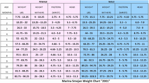 28 Right Printable Growth Chart Ruler Pdf