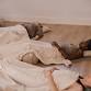 Hertfordshire’s Home for Pilates, Yoga, Therapies event image