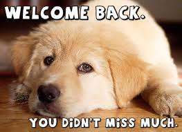 Check spelling or type a new query. Welcome Back Funny Quotes Quotesgram