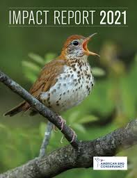 Impact Report 2021 by abcbirds