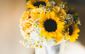 We did not find results for: Wallpaper Sunflowers Flowers Background Roses Chamomile Bouquet Yellow Sunflower Images For Desktop Section Cvety Download