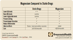 comparing magnesium supplementation with statin drugs