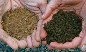 Maybe you would like to learn more about one of these? The Difference Between Fill Dirt And Topsoil