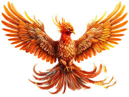 Ave Fenix PNG para descargar gratis