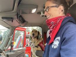The only difference is they have a dark golden coat which appears red. Golden Retriever Comforts Firefighters In California Pittsburgh Post Gazette