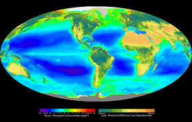 We've arranged the list in alphabetical. Photosynthesis Wikipedia
