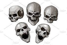Vector Skulls Set Skull Illustration Vector Art Skull