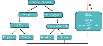 Image result for Posterior Circulation