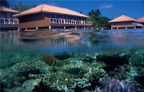 Experience Amazing Two Worlds At Embudu Village Maldives Learn More Http Maldivesholidayoffers Com Resorts 82 Embudu Village Hotel Reisen