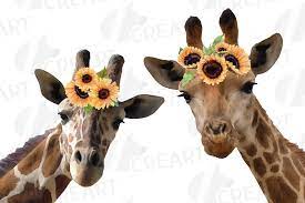 Giraffe With Sunflower Crown Match Shirt Watercolor Clip Art 358296 Illustrations Design Bundles