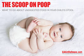 Undigested food can normally be encountered in the feces. The Scoop On Poop What To Do About Undigested Food In Your Child S Stool Huffpost Life