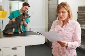 What does a pet wellness plan cover? Pet Wellness Akron Pet Insurance