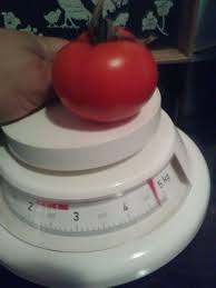 Combien Pese Une Tomate Tomates Potager Bio Jardin Potager