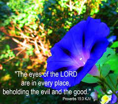 Scripture God Jesus Bible Christian Kjv Good Proverbs Knowing God Morning Glory Flowers