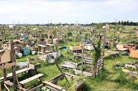 Guerilla Gardening Auf Der Tempelhofer Freiheit In Berlin Urbane Landwirtschaft Tempel