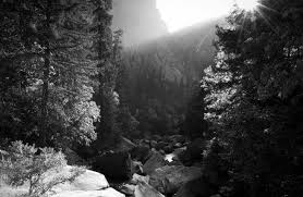 التصوير الفوتوغرافي بالأبيض والأسود Library Of Inspiration Nikon Middle East Fze