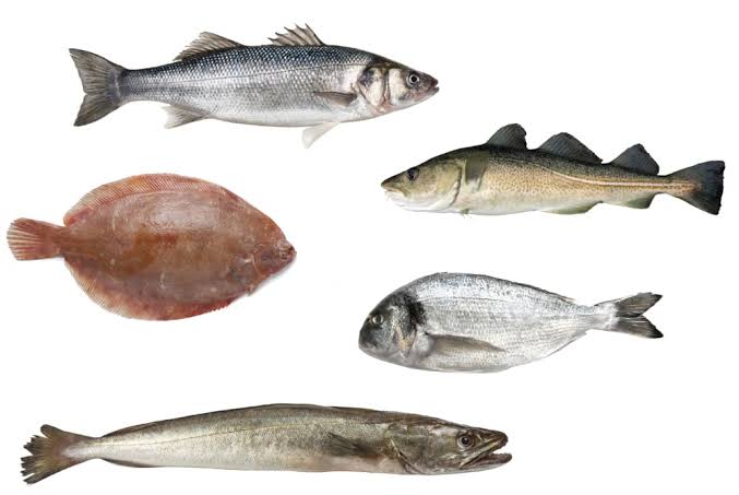 Lista de Pescados Blancos y sus Propiedades | Esenciadelmar