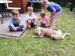 Typically, in his ministry, father hund would visit each priest personally and take them out for lunch. Prince Charles Tierhilfe Franken E V