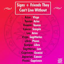 But unless the companionship is dynamic, they may lose interest. Pin On Alj