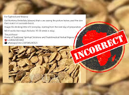 Image result for Hunteria umbellata