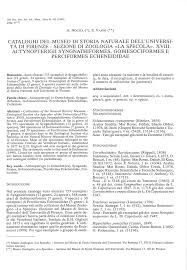 Etologia, zoologia, zoologia degli invertebrati, zoologia e entomologia, zoologia generale, zoologia sistematica. Pdf Cataloghi Del Museo Di Storia Naturale Dell Universita Di Firenze Sezione Di Zoologia La Specola Xviii Actynopterigii Sygnathiformes Gobiesociformes E Perciformes Echeneididae