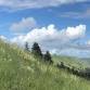 Jasper Mountain Trail Fest 2026
